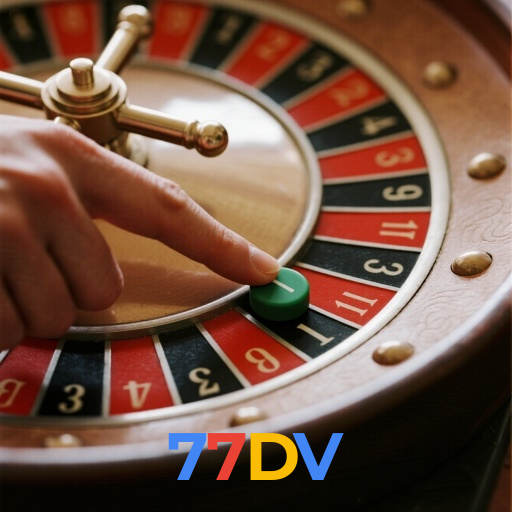 77DV visual
