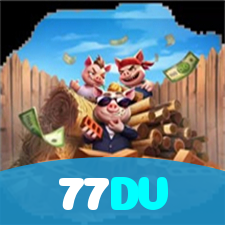 77DV visual