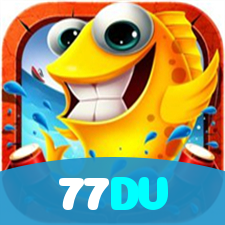 77DV visual
