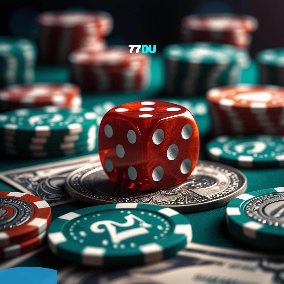 77DV visual
