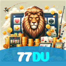 77DV visual