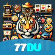 77DV visual