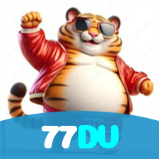 77DV visual