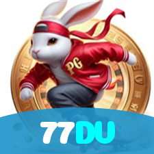 77DV visual
