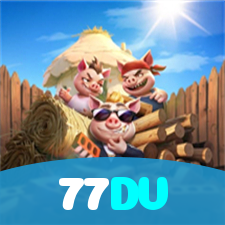 77DV visual