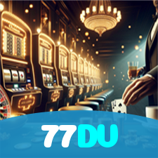 77DV visual