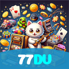 77DV visual