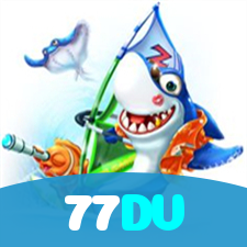 77DV visual