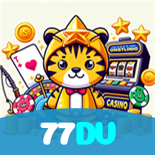 77DV visual