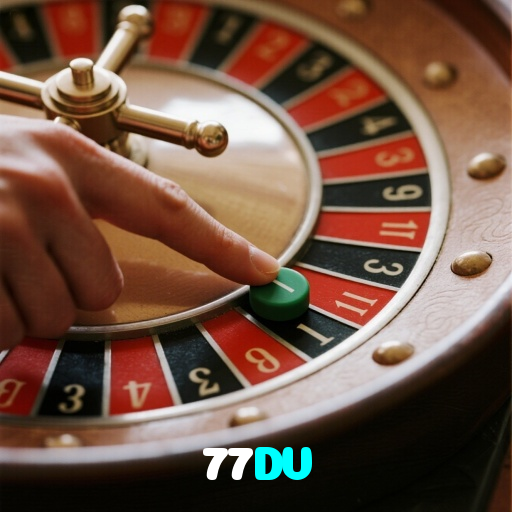 77DV visual