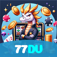 77DV visual