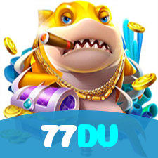 77DV visual