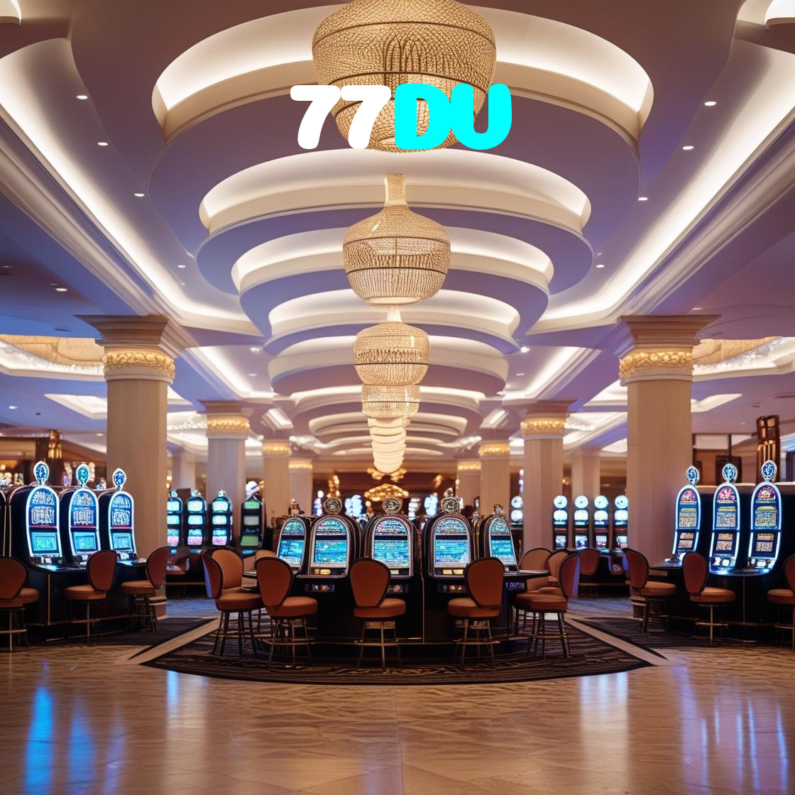 77DV visual