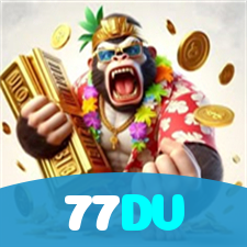 77DV visual