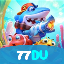 77DV visual