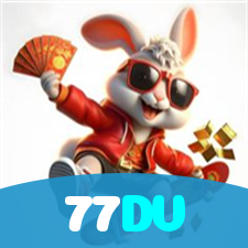 77DV visual